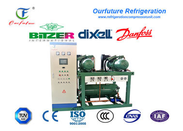 Unidad de rosca del compresor de la cámara fría de la marca de R404a Bitzer para el refrigerador de agua