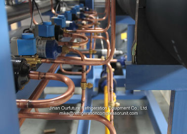 Estantes paralelos de rosca del compresor de la marca de R404a Bitzer para la cámara fría química