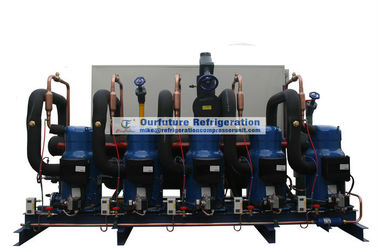 Enrolle el tipo unidad de condensación con el compresor de Danfoss R404a y el control del PLC para la tienda fría