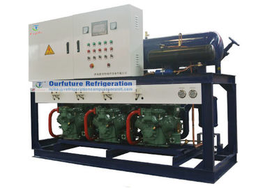 Tipo de dos fases unidad del pistón de Bitzer del compresor de la refrigeración para los congeladores de ráfaga de R404a