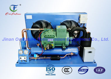 Unidad de condensación de Bitzer de la conservación en cámara frigorífica de Apple, de climatizador de la cámara fría R404a