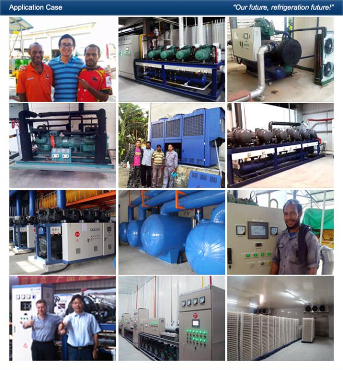Unidad del compresor de la refrigeración de Danfoss, unidad de condensación de la pequeña refrigeración de la conservación en cámara frigorífica