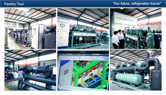 Unidad del compresor de la refrigeración de Danfoss, unidad de condensación de la pequeña refrigeración de la conservación en cámara frigorífica