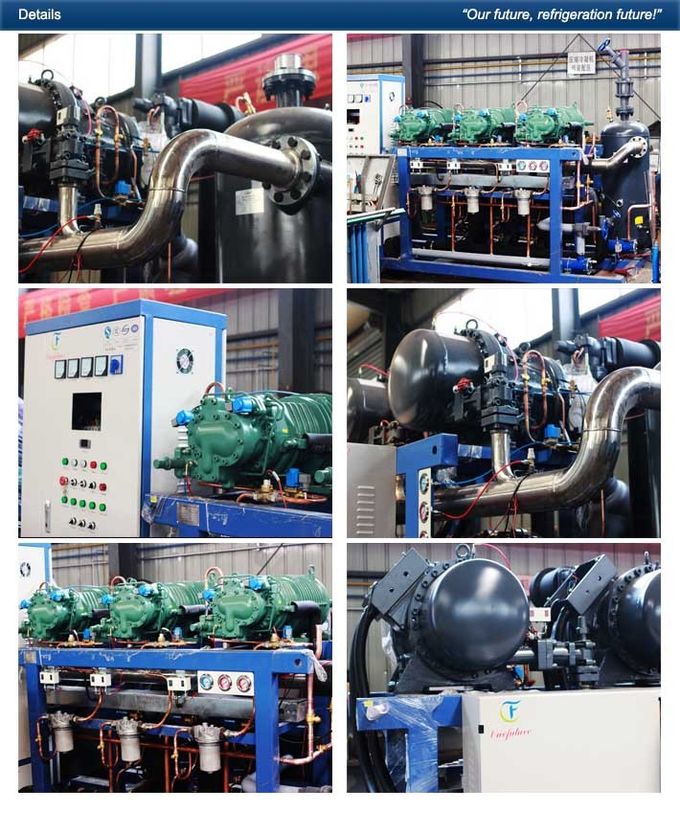 Zanahoria de Anbell de la unidad de refrigeración del sitio fresco que prerefrigera la conservación en cámara frigorífica 400hp