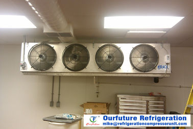 Unidades de refrigeración para la configuración opcional de las cámaras frías aceptable